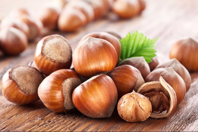 Hazelnuts စားသုံးခြင်းသည် အမျိုးသားများ စိတ်အားထက်သန်မှုကို တိုးစေသည်။